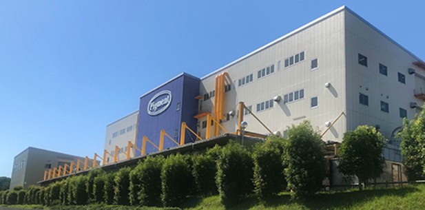 니폰피그먼트홀딩스