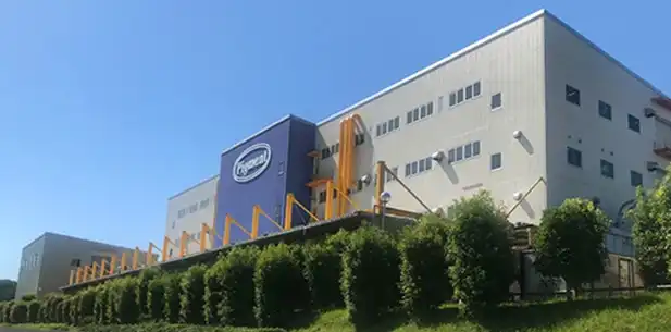 日本ピグメントホールディングス